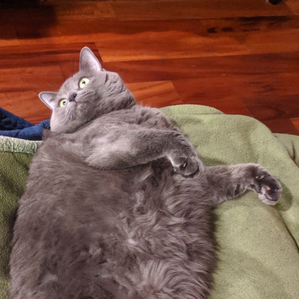 Meet your Posher, Kierra